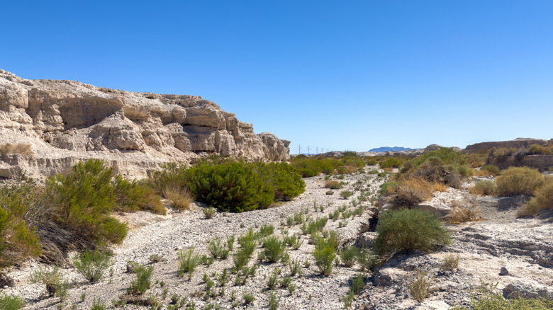 The desert landscape Ice Age Fossils State Park, outside of Las Vegas, Nevada