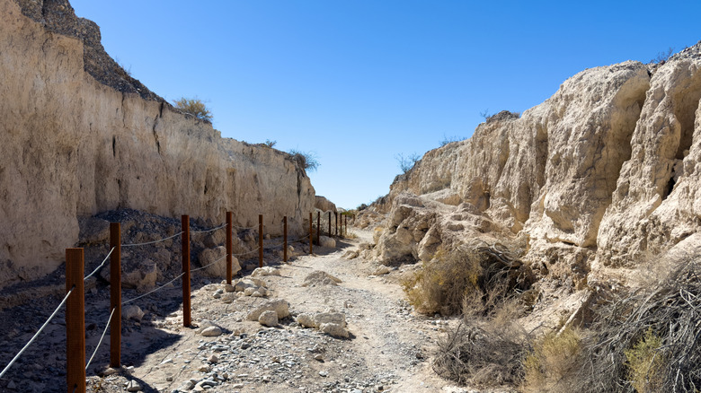 A walking path Ice Age Fossils State Park near Las Vegas, Nevada