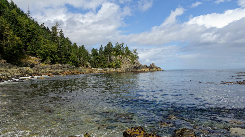 A beautiful view of a pretty beach surrounded by forest and clean ocean water, in Gwaii Haanas National Park Reserve, Haida Gwaii, British Columbia, Canada