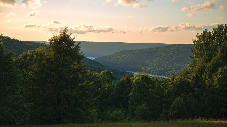 Overlooking Kinzua Lake and Allegheny Reservoir from Bliss Hill, North Country Trail, Allegheny National Forest, Pennsylvania