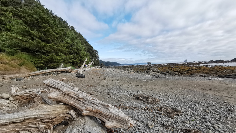Cape Alava, Ozette Beach, Olympic National Park, Washington State