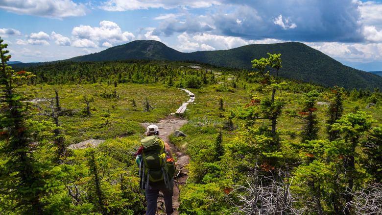 Hiker on Appalachian Trail in Maine, Surrounded by Lush Mountain Vista