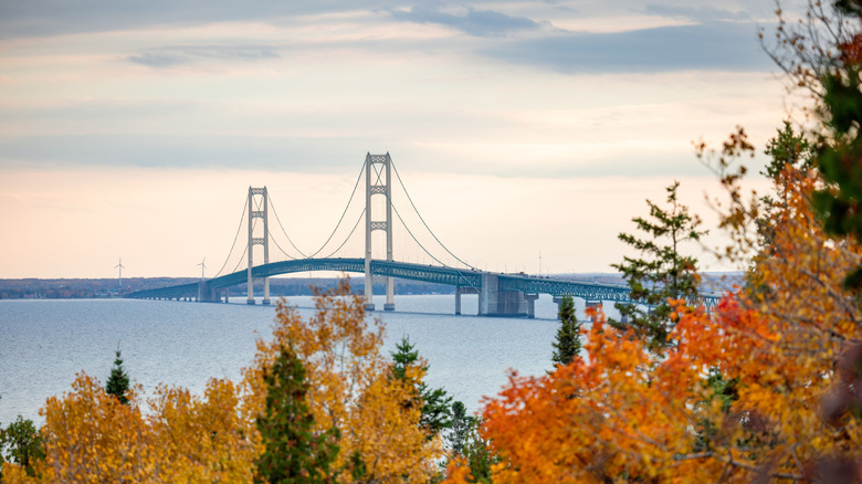 An aerial view of the Mackinac Bridge in Michigan, surrounded by vibrant fall colors of the forests
