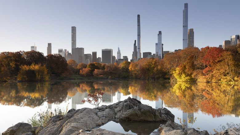 View from Hernshead rock during autumn season in Central Park.
