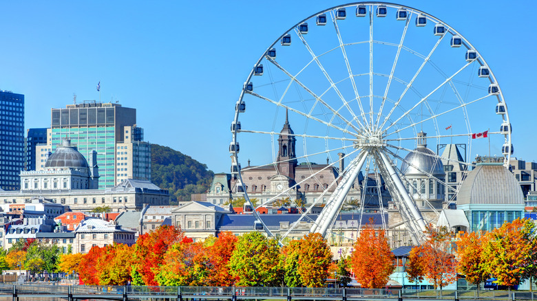 Fall leaves in Old Montreal, Quebec, Canada, with its iconic ferris wheel in the background.