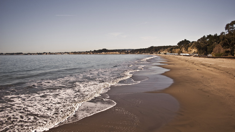 The shore from New Brighton State Beach in California