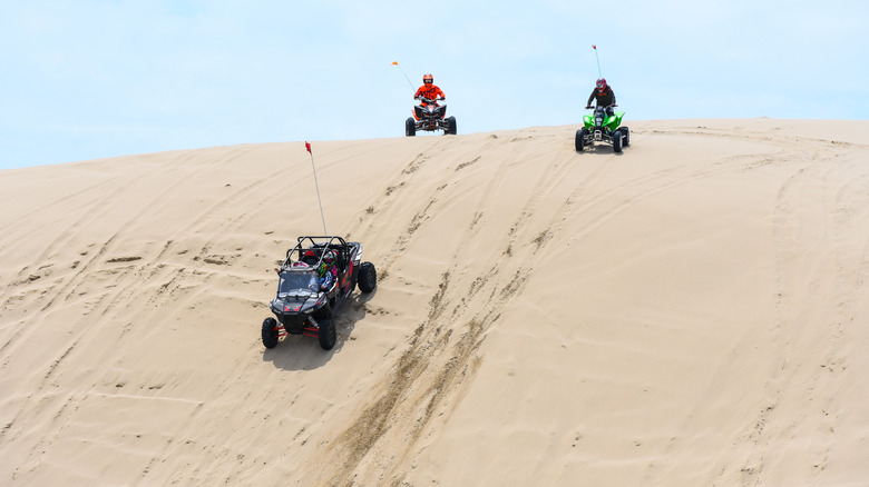 ATVs and a side-by-side off-roading in the Oregon Dunes National Recreation Area