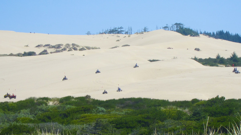 Off-road vehicles traversing a wide expanse of the Oregon Dunes National Recreation Area