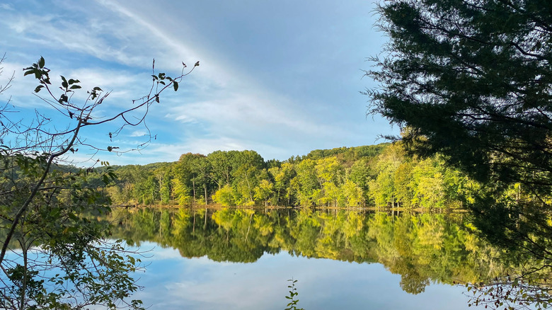 Lake reflections in Radnor State Park in Nashville, Tennessee