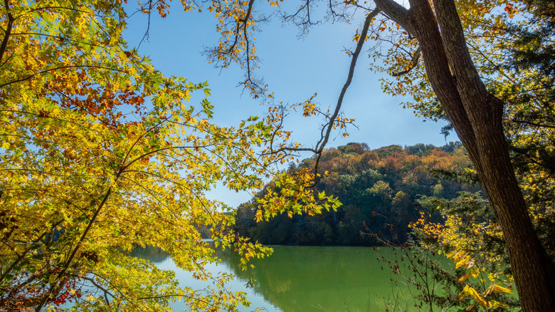 Radnor Lake State Park in the fall, Nashville, Tennessee