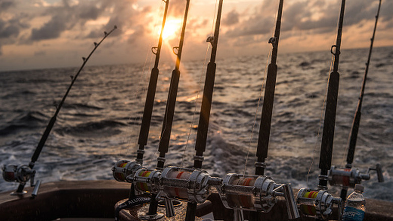 Fishing rods trolling for blue marlin on the ocean