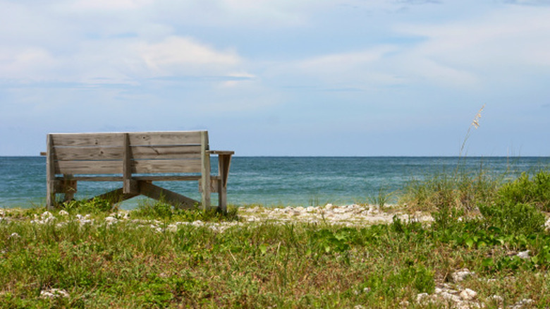 A beach at Honeymoon Island, Florida, with a bench.
