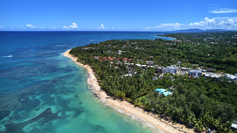An aerial view of Ballenas Beach in Las Terrenas, Dominican Republic