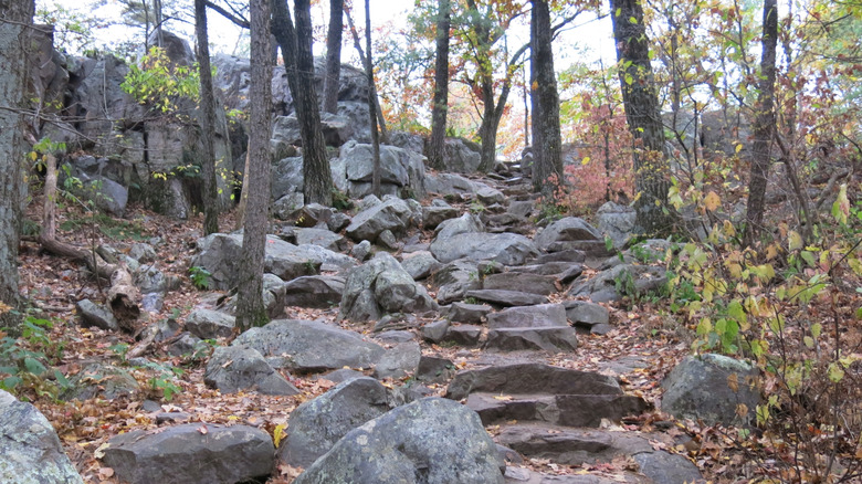A rocky trail at Devil's Lake in the fall