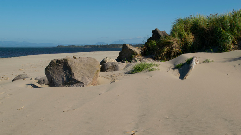 The beach at Fort Stevens State Park in Warrenton, Oregon, with a view of Saddle Mountain in the background.