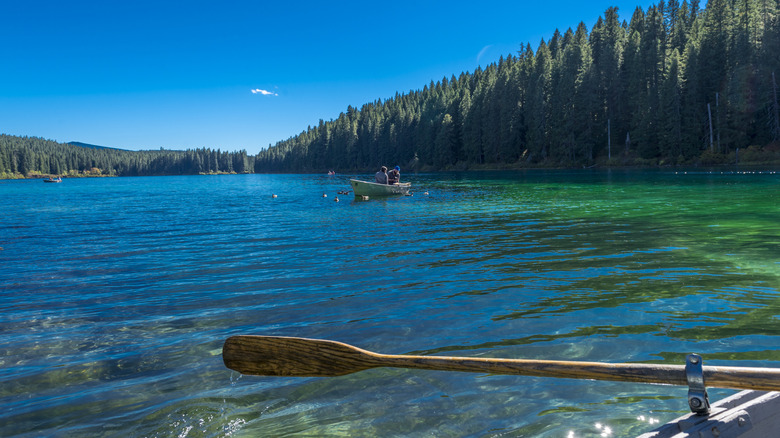 A view of Clear Lake from a rowboat