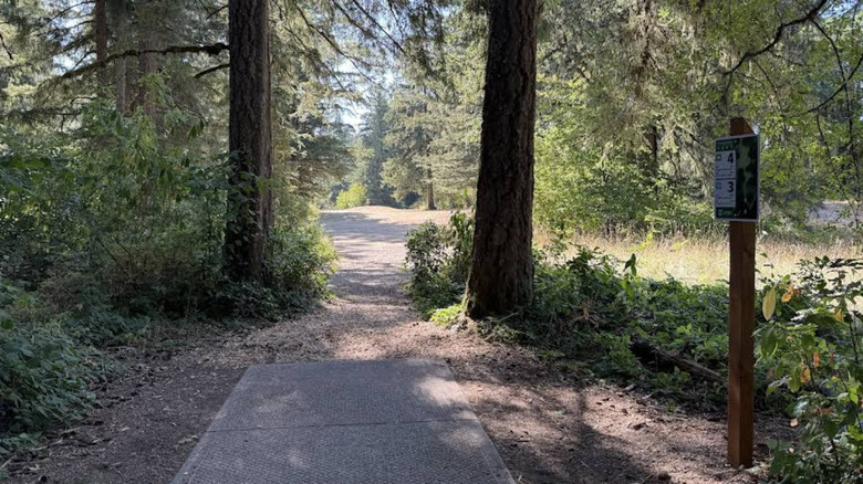 a tee-off area for disc golf in Milo McIver State Park