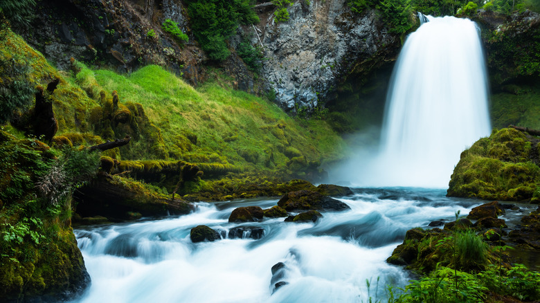 Koosah Falls cascading in the McKenzie River in Oregon
