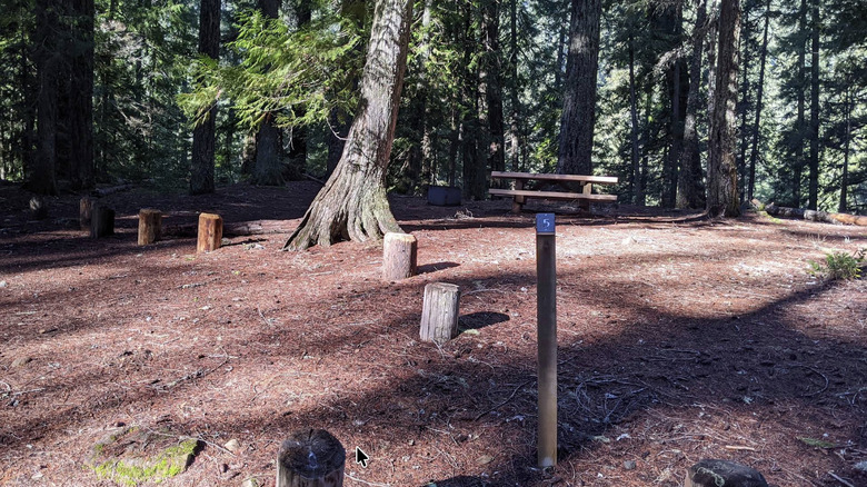 A campsite at the Ice Cap Campground and Day Area at Carmen Reservoir