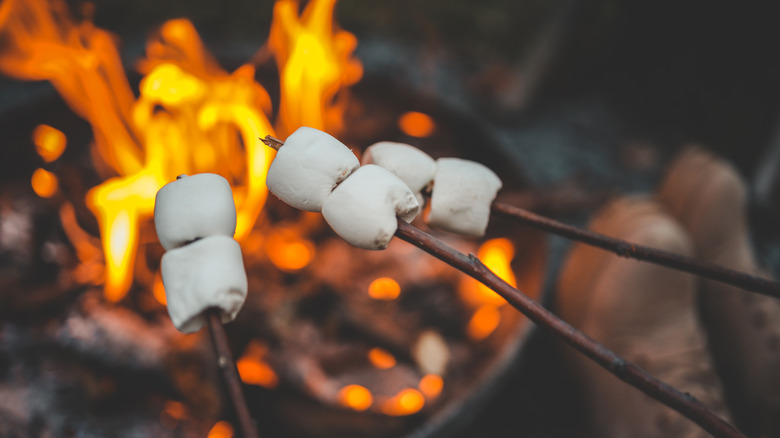 marshmallows roasting on sticks on a camp fire