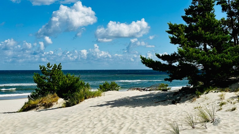 Sandy beach along Poland's Hel Peninsula on the Baltic Sea on a sunny day