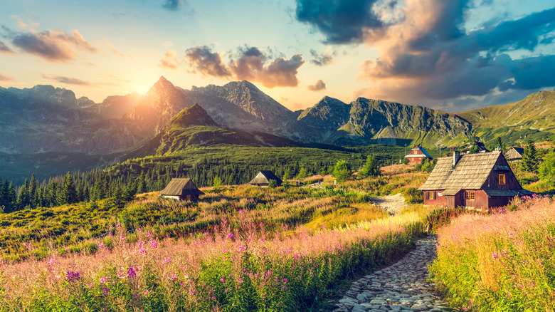 Flowered meadow with traditional cabins near the High Tatras Mountains in Zakopane, Poland