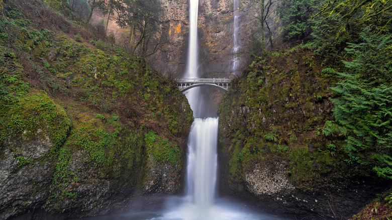 A bridge crosses over Multnomah Falls in Oregon
