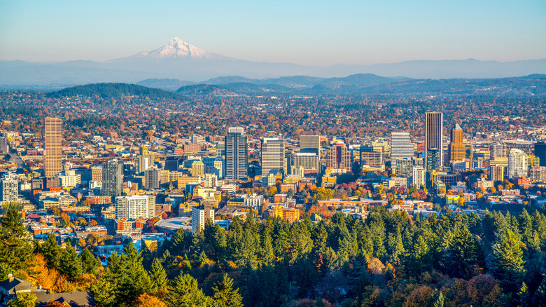 The city of Portland with Mt. Hood in the background