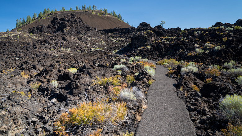Trail of the Molten Lands at Newberry National Volcanic Monument