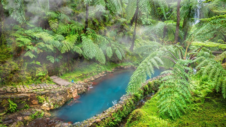 The Caldeira Velha springs in the island of São Miguel