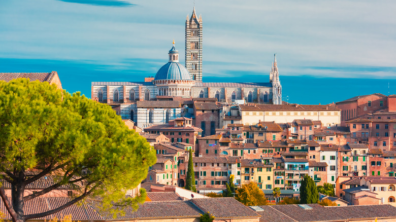 View of Siena, Italy