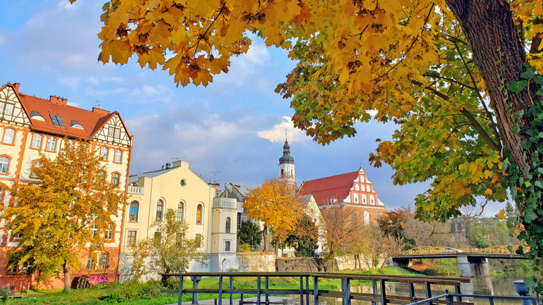 Autumn leaves with European buildings