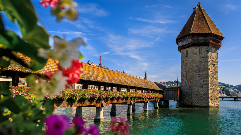 Flowers near the famous covered wooden bridge crossing the river in Lucerne, Switzerland