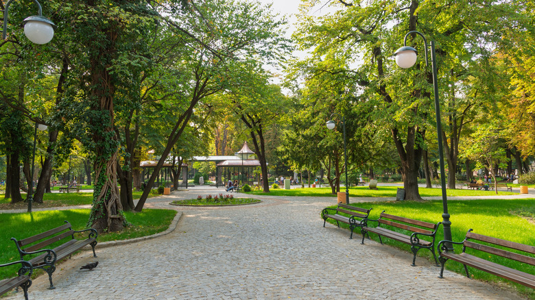 Walkway and trees in Tsar Simeon Garden in Plovdiv, Bulgaria