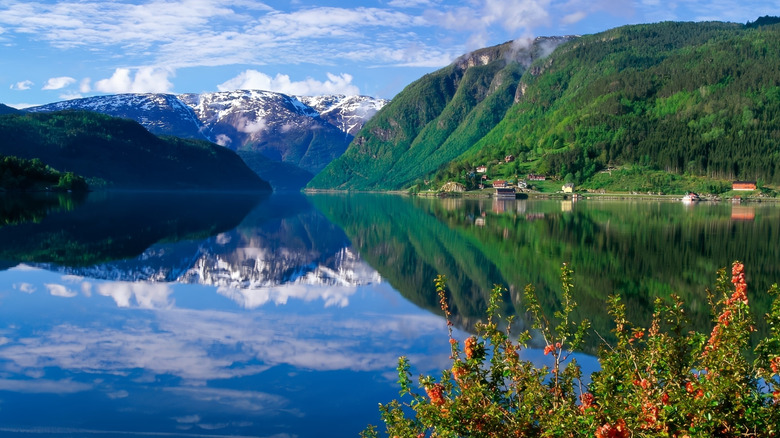 Sognefjord in Norway, with moss-covered cliffs and snow-covered peaks reflecting in the water