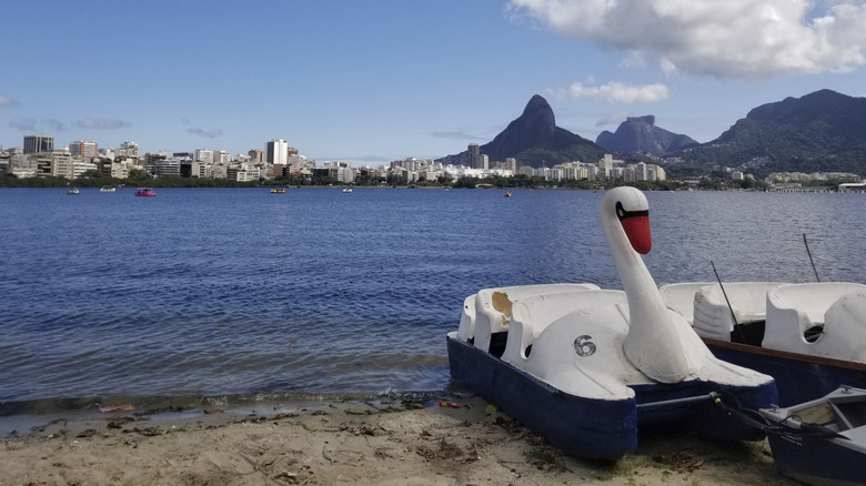 Swan boats in the Lagoa Rodrigo de Freitas