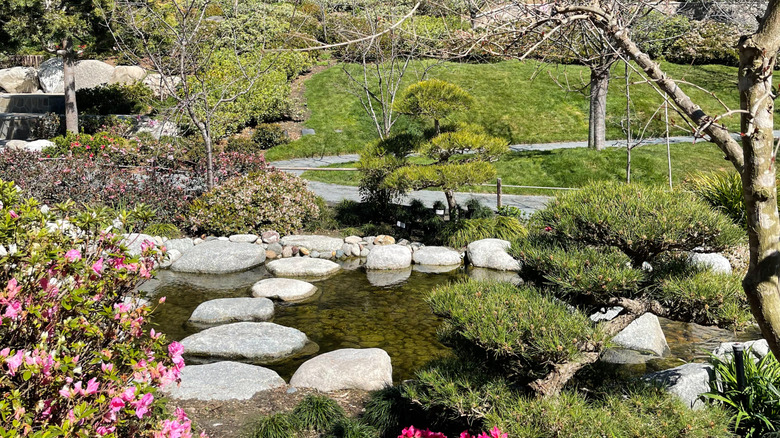 A garden in Balboa Park in San Diego, California