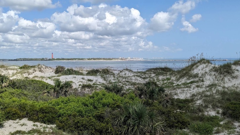 View of Smyrna Dunes State Park with the Ponce de Leon Inlet Lighthouse in the distance
