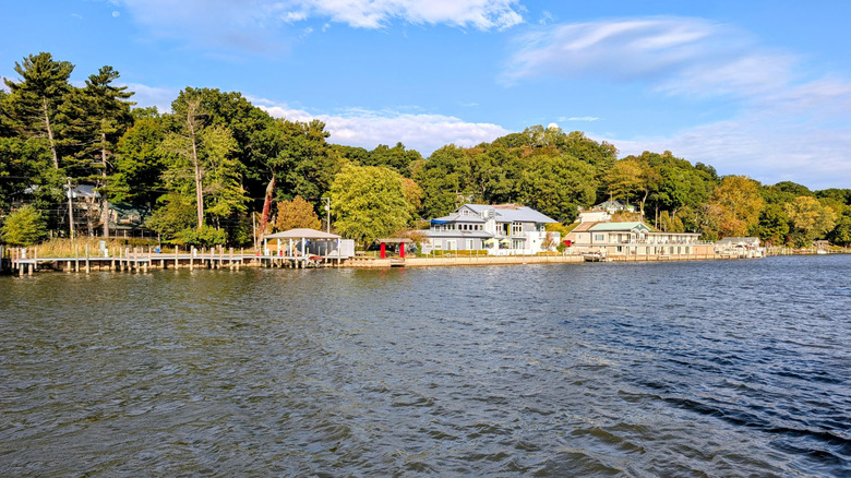 beach view and houses and forest at Saugatuck, Michigan Lake