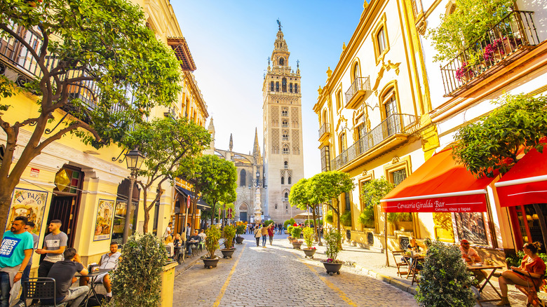 A sunny day in Seville with a view of La Giralda belltower