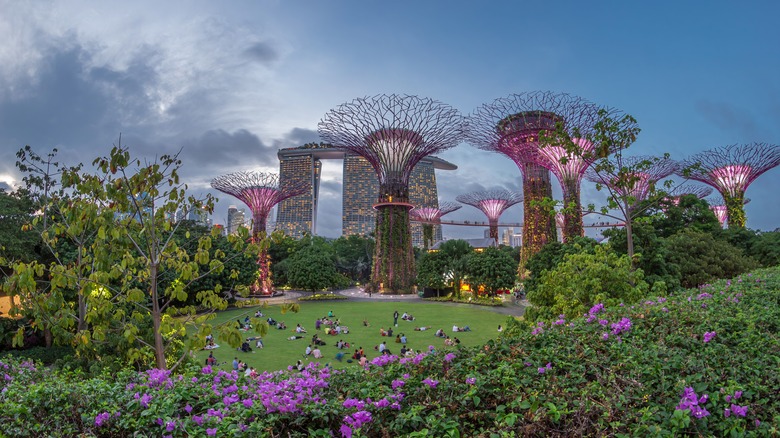 The iron trees at Singapore's Supertree Grove at dusk