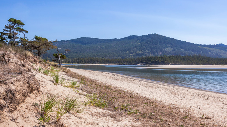 A view of the Sand Lake Recreation Area in Oregon