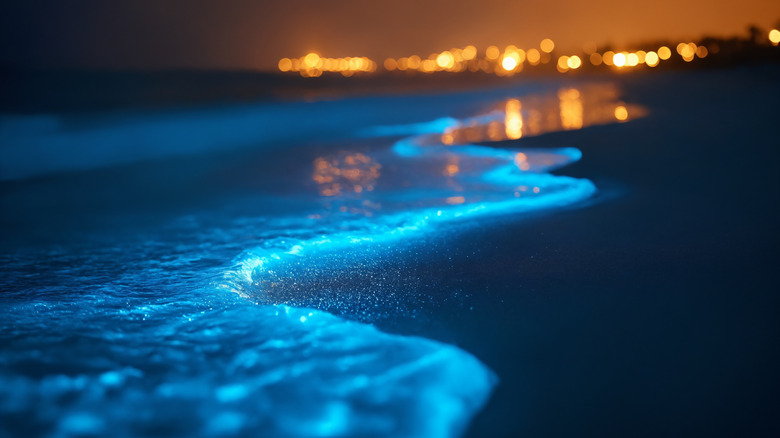 A glowing blue shoreline at night with orange lights in the background