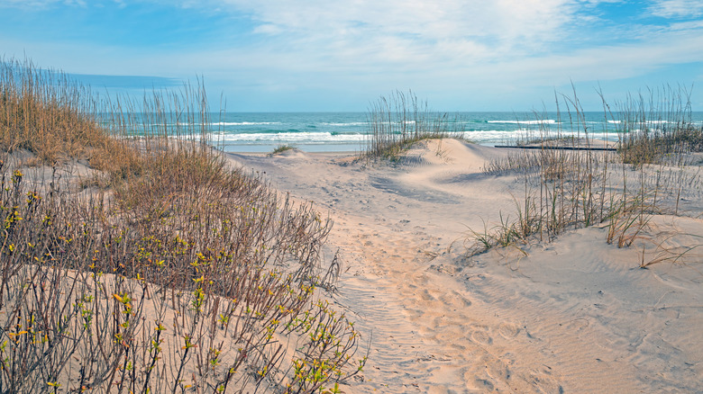 Ocean views across grassy dunes in the Outer Banks in North Carolina
