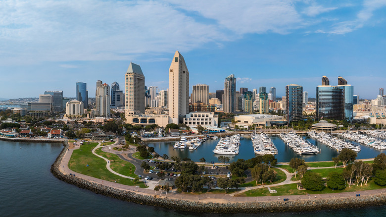 The skyline of San Diego