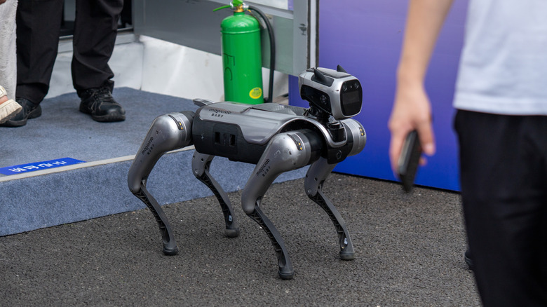 Robot Dog designed by the Chinese robotic startup MagicLab; MagicDog is an interactive, AI-powered quadruped robot developed by MagicLab
