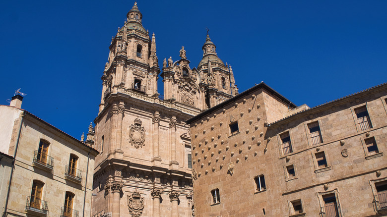 The buildings around the University of Salamanca