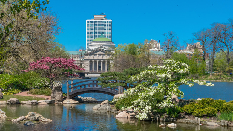 Booming trees, bridge, and pond in Chicago's Osaka Garden on sunny spring day.