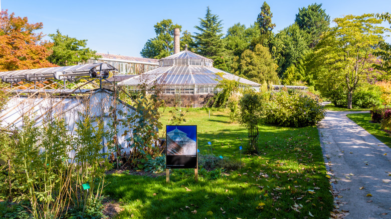 The greenhouse at the University of Strasbourg's Botanical Garden