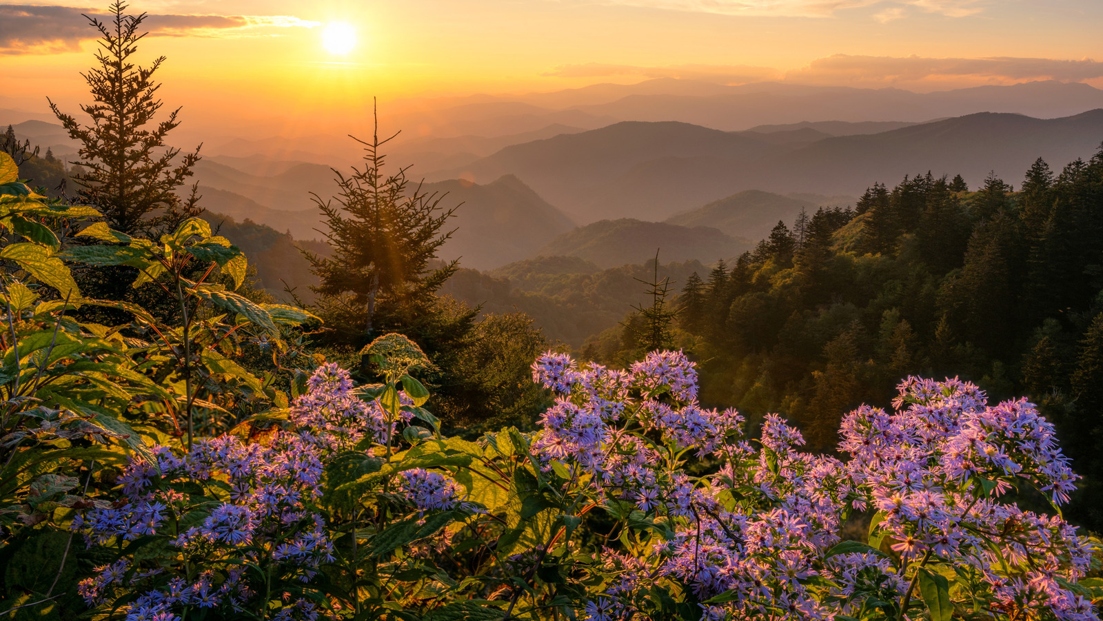 Tennessee's 10 Best Things To Do For First-Time Visitors